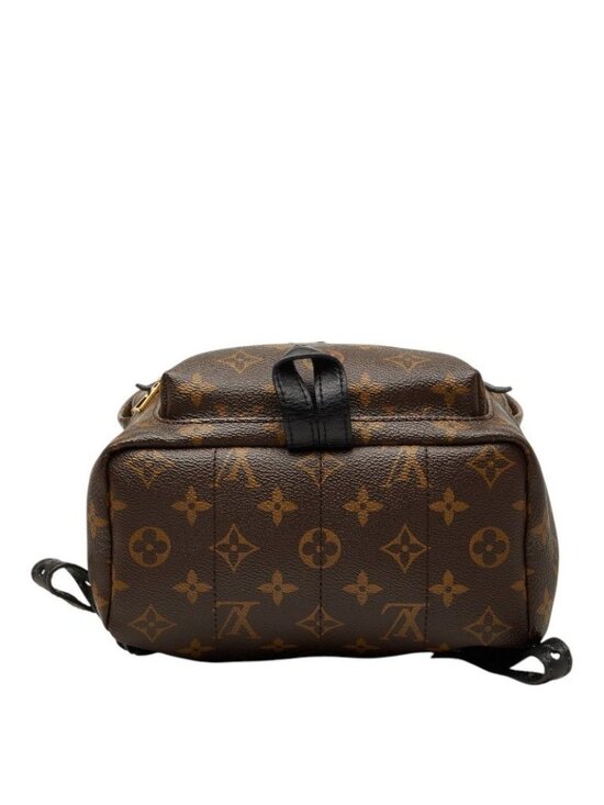 Louis Vuitton Monogram Palm Springs PM Backpack Brown Black Leather main image 7